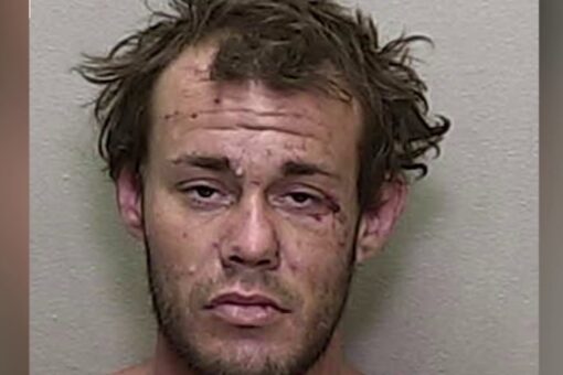Florida fugitive points gun at deputy, chokes and bites K-9, investigators say: See the video