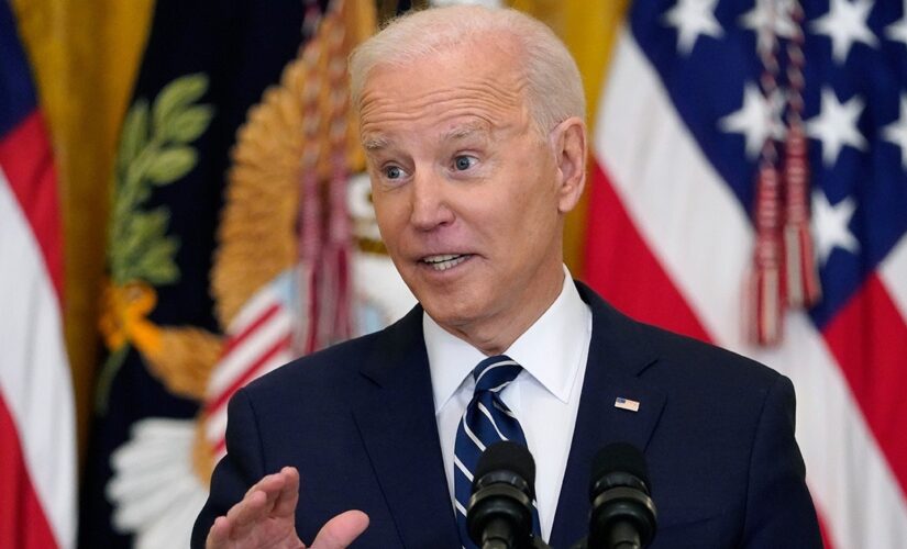 Border Patrol chief hopes someone will ‘fact check’ Biden’s border crisis claims