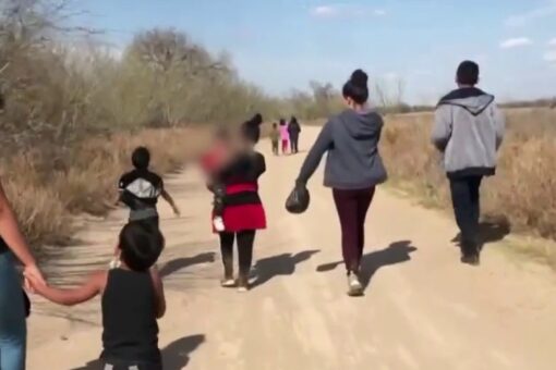 Biggs urges Mayorkas to declare border surge a ‘crisis’ after request for volunteers