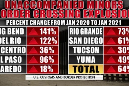 Biden administration needs to acknowledge border ‘crisis,’ former Trump and Obama immigration official warns