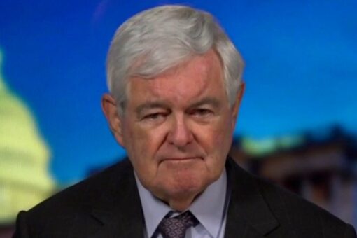 Gingrich claims Democrats have ‘given up keeping House’ in 2022, are ‘ramming through everything they can’
