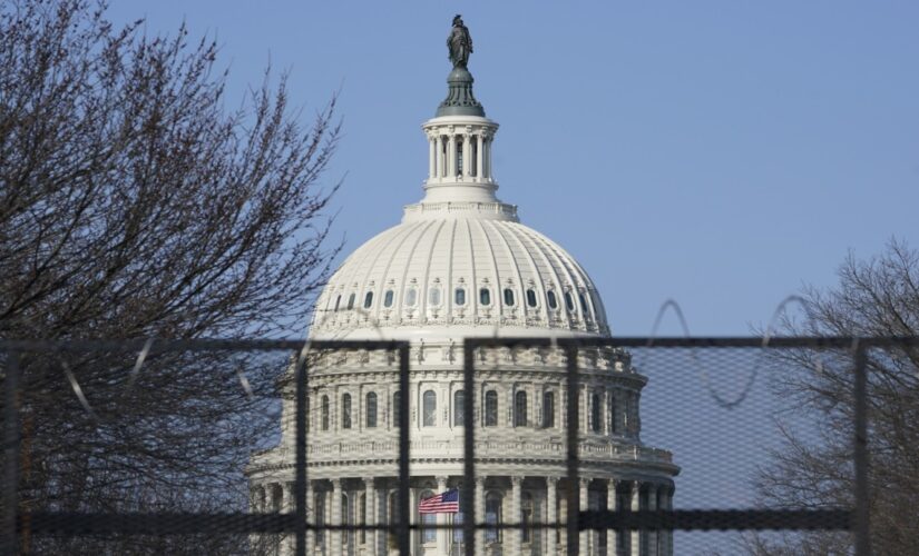 House passes bill awarding Congressional Gold Medals to Capitol Police following Jan. 6 riot