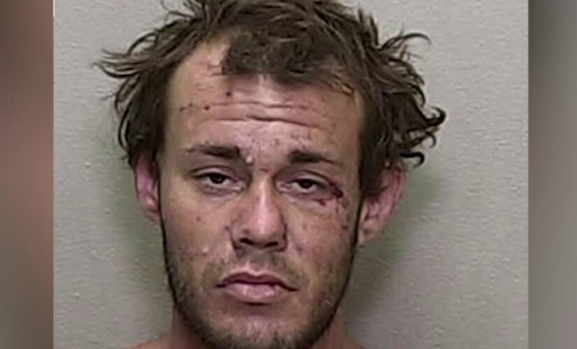 Florida fugitive points gun at deputy, chokes and bites K-9, investigators say: See the video