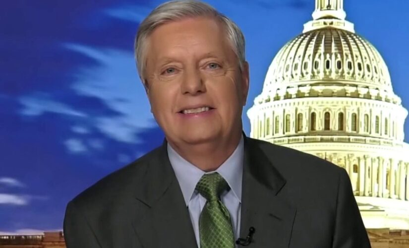 Graham predicts GOP will ‘come roaring back’ due to Biden’s ‘radical’ immigration policies