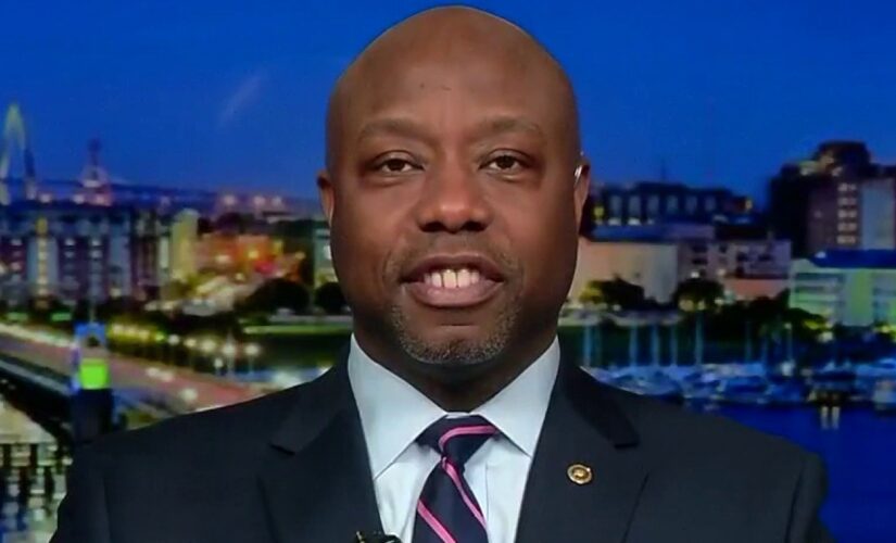 Sen. Tim Scott blasts COVID relief bill passed by Senate: ‘If you don’t need help, you shouldn’t get it