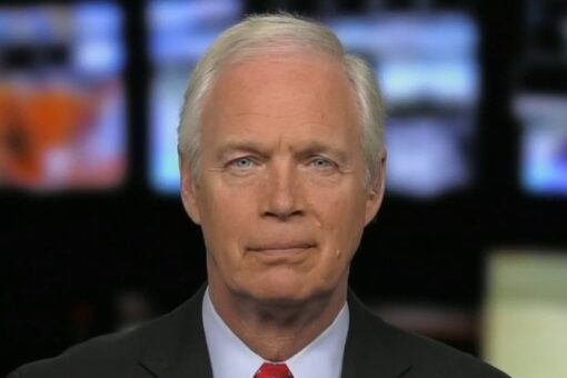 Sen. Ron Johnson: Biden border policies facilitating business of the ‘most evil people on the planet’