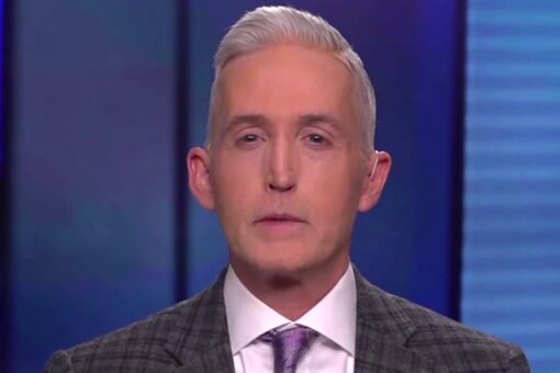 Trey Gowdy blasts MSNBC’s Joy Reid for disparaging Tim Scott as giving Republicans ‘patina of diversity’