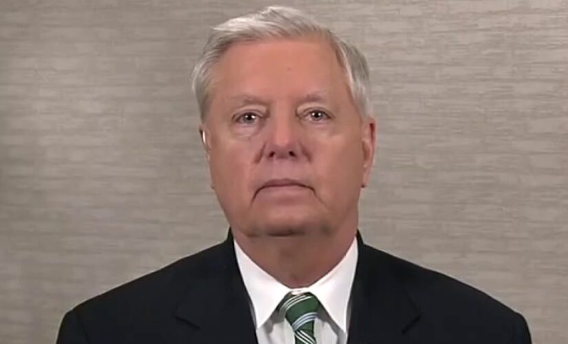 Sen. Lindsey Graham: Reckless immigration policies – Biden team has no one to blame but themselves