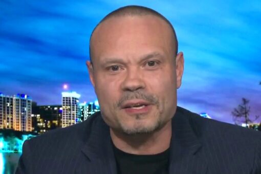 ‘Dirty little secret’: Bongino torches Biden admin’s claims on why media can’t go into border facilities