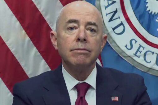 Trump DHS officials slam Biden ‘purge’ of Homeland Security Advisory Council