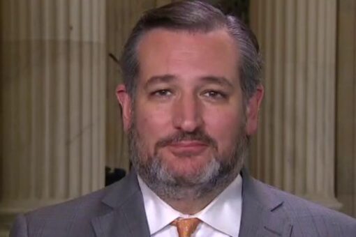 Sen. Ted Cruz: The border crisis is a ‘direct result’ of Joe Biden’s political decisions