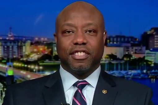 Sen. Tim Scott blasts COVID relief bill passed by Senate: ‘If you don’t need help, you shouldn’t get it