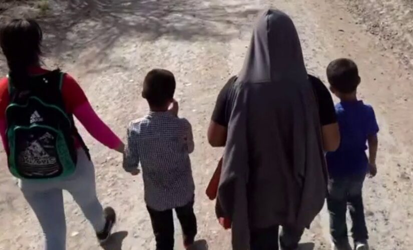 DHS chief directs FEMA to assist in ‘government-wide effort’ to house child migrants, as number surge