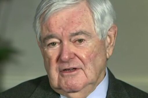 White House ‘increasingly run’ by VP Harris, Schumer and Pelosi: Newt Gingrich