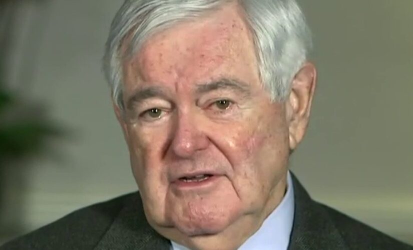 White House ‘increasingly run’ by VP Harris, Schumer and Pelosi: Newt Gingrich