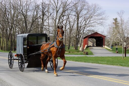 Amish community may have reached coronavirus ‘herd immunity,’ health official says