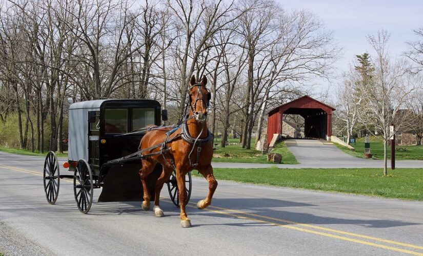 Amish community may have reached coronavirus ‘herd immunity,’ health official says