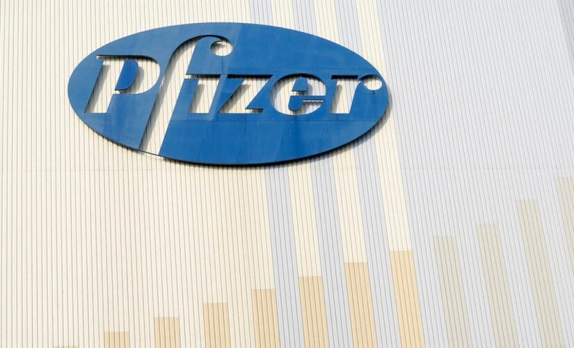 FDA panel rejects Pfizer’s arthritis drug as too risky