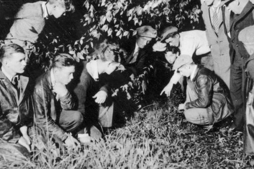 This Day in History: March 1