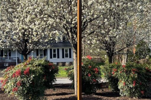 Virginia girl’s shocking shooting death leads to arrest of teen suspect