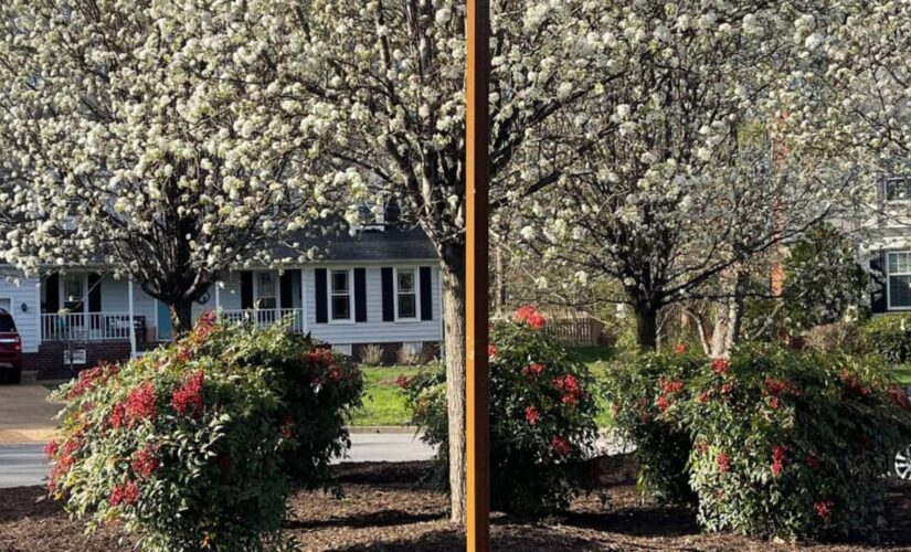 Virginia girl’s shocking shooting death leads to arrest of teen suspect
