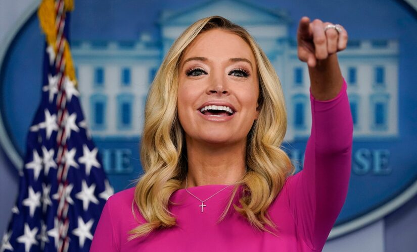 Kayleigh McEnany talks undergoing double mastectomy, potential run for office