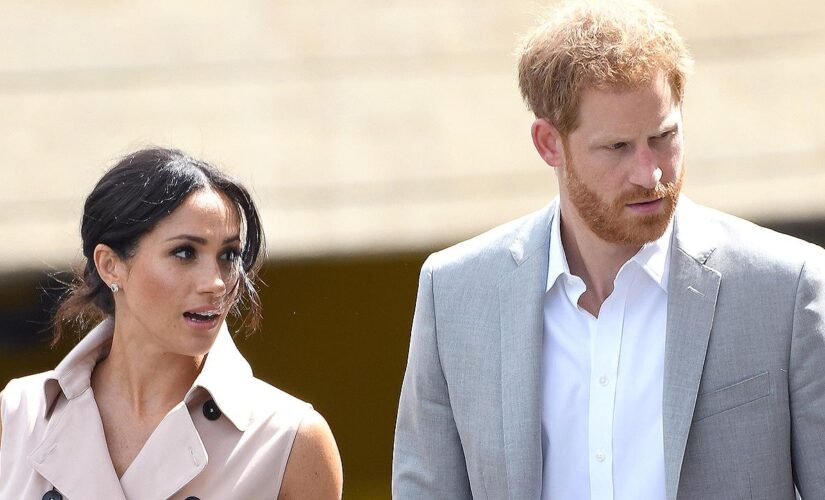 Meghan Markle, Prince Harry share new family photo after revealing they’re expecting a baby girl
