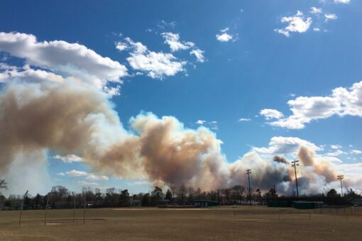 Dozens of homes damaged in massive New Jersey forest fire