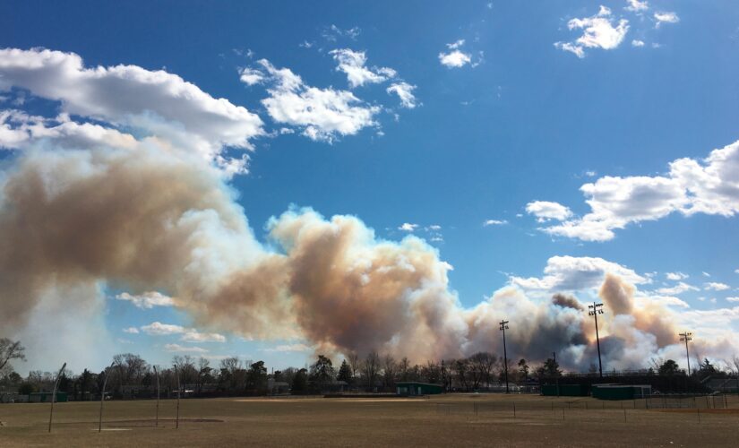Dozens of homes damaged in massive New Jersey forest fire