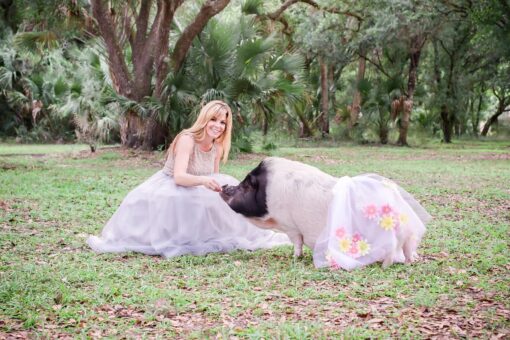 Florida woman handcrafts custom pig clothes for pets too large to fit dog outfits