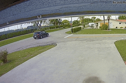 Florida Ring doorbell camera catches terrifying deadly plane crash in neighborhood