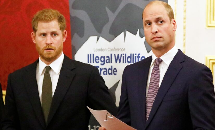 Prince Harry discusses Prince William relationship status during Oprah Winfrey interview