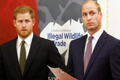 Prince Harry discusses Prince William relationship status during Oprah Winfrey interview