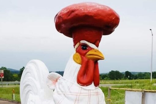 Wisconsin restaurant offers $1G reward to get its giant rooster back