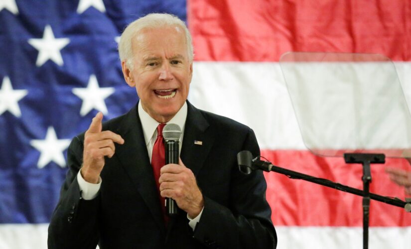 Immigrant mother told MSNBC guest she viewed Biden ‘more as a father than as a president’