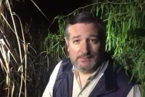 Ted Cruz details viewing ‘Biden Cages’ packed with migrant children at the Texas-Mexico border