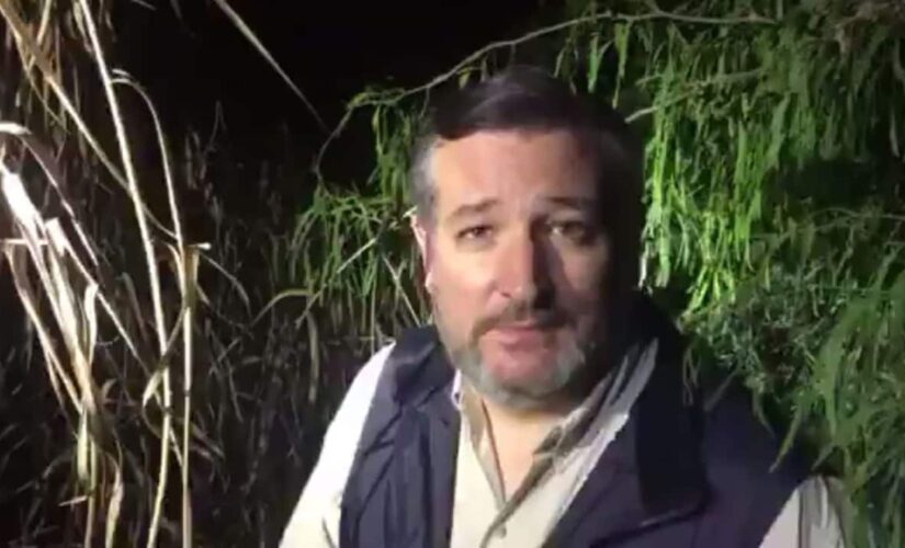 Ted Cruz details viewing ‘Biden Cages’ packed with migrant children at the Texas-Mexico border