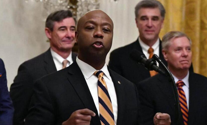 Tim Scott responds to Don Lemon rant: People at ‘wit’s end’ over Black conservatives speaking their minds