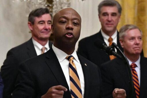 Tim Scott responds to Don Lemon rant: People at ‘wit’s end’ over Black conservatives speaking their minds