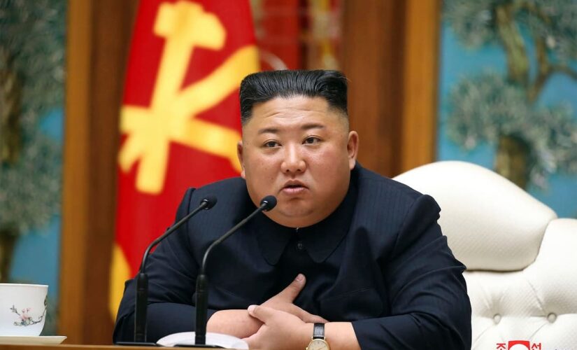 North Korean education official reportedly executed for ‘anti-party activities’