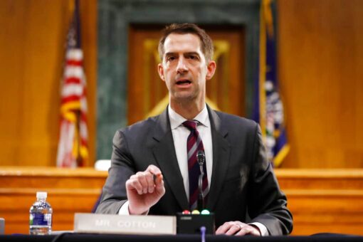 Cotton warns that ‘every cop in America should be terrified’ of Biden DOJ nominee