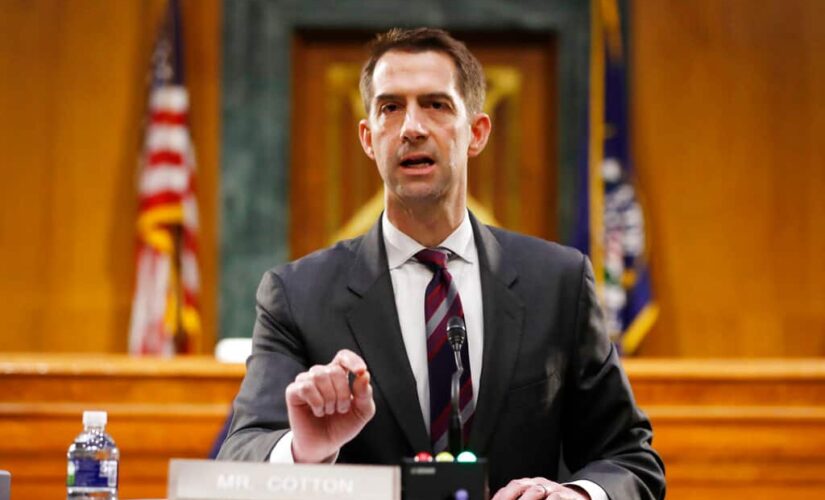 Cotton warns that ‘every cop in America should be terrified’ of Biden DOJ nominee