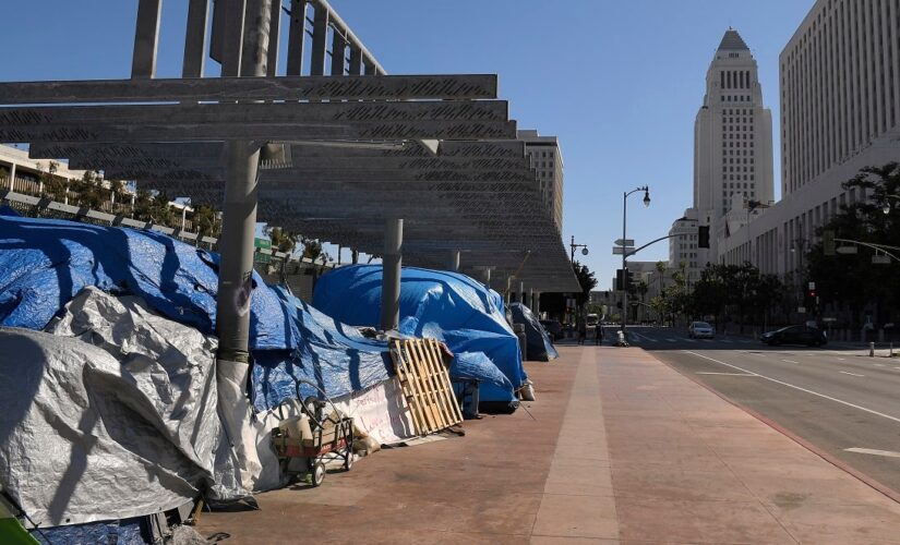 Los Angeles City Council approves motion to replace mandatory homeless cleanups with ‘voluntary compliance’