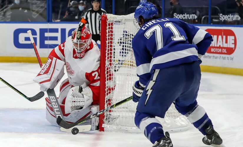 Reds Wings score 3 in 2nd, end losing streak in Tampa, 5-1