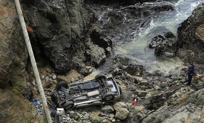California investigators weigh whether mother and daughter fatal 100-foot cliff plummet was intentional