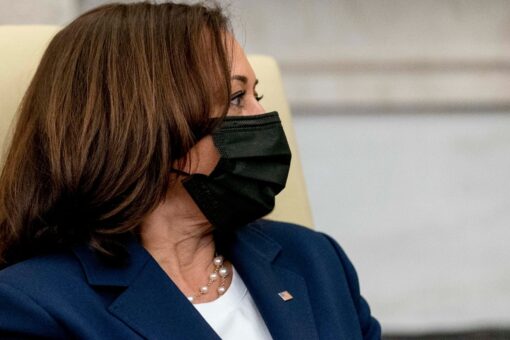 Florida nurse who appeared to threaten VP Harris in videos charged: Secret Service