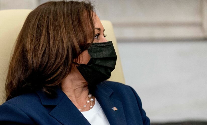 Florida nurse who appeared to threaten VP Harris in videos charged: Secret Service