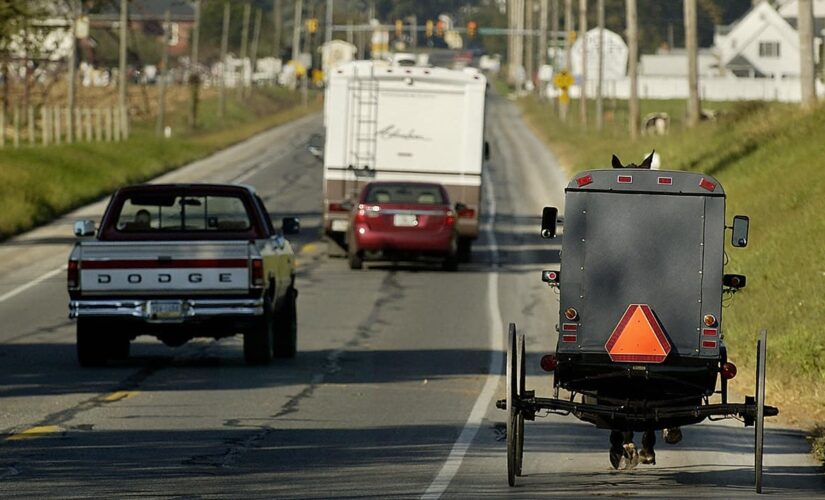 Coroner says buried Amish teen had been strangled, stabbed