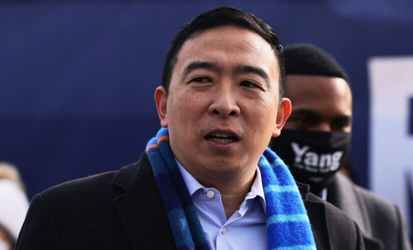 Andrew Yang tearfully explains giving away his dog Grizzly