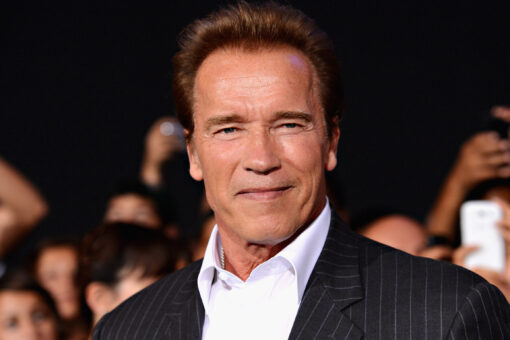 Arnold Schwarzenegger weighs in in on the California recall